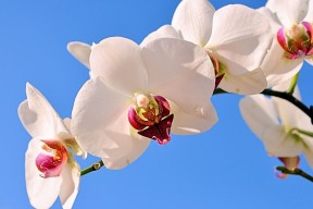 世界篮球邀请赛：防守细节决定比赛走向，世界篮球联赛2021
